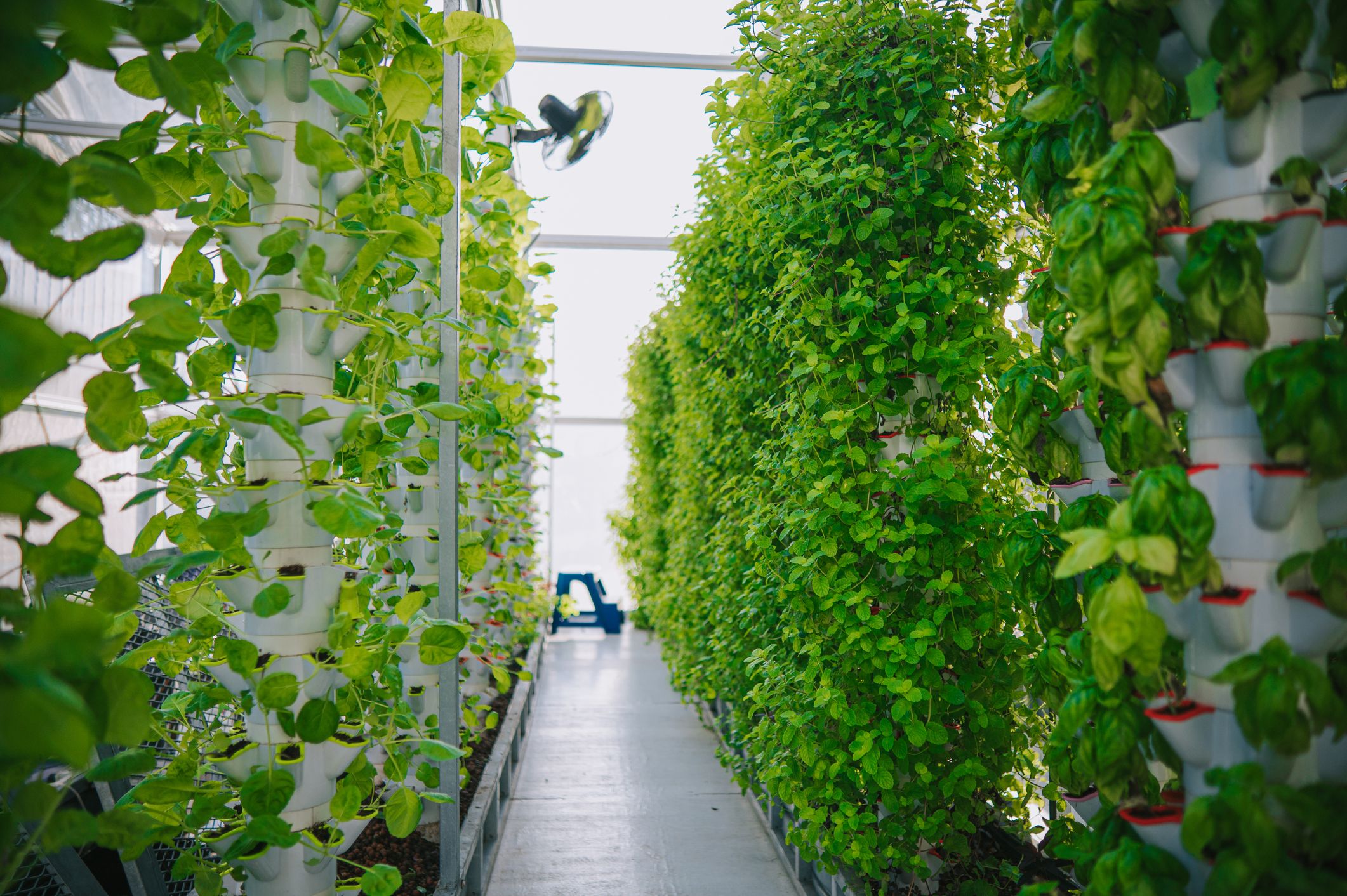 Vertical farming image