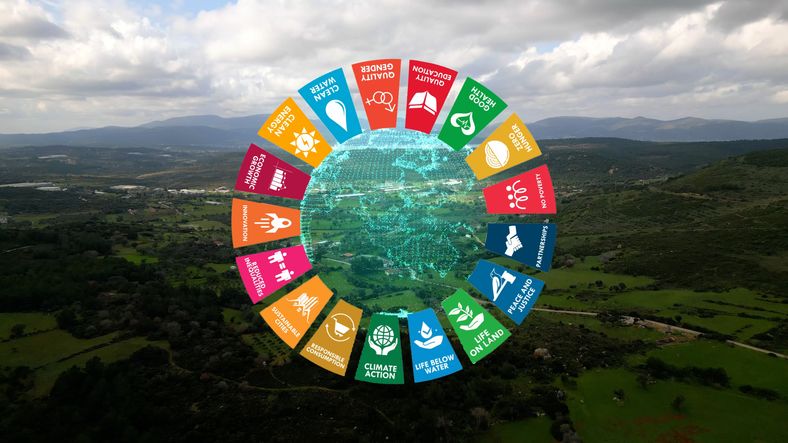 Sustainable development goals