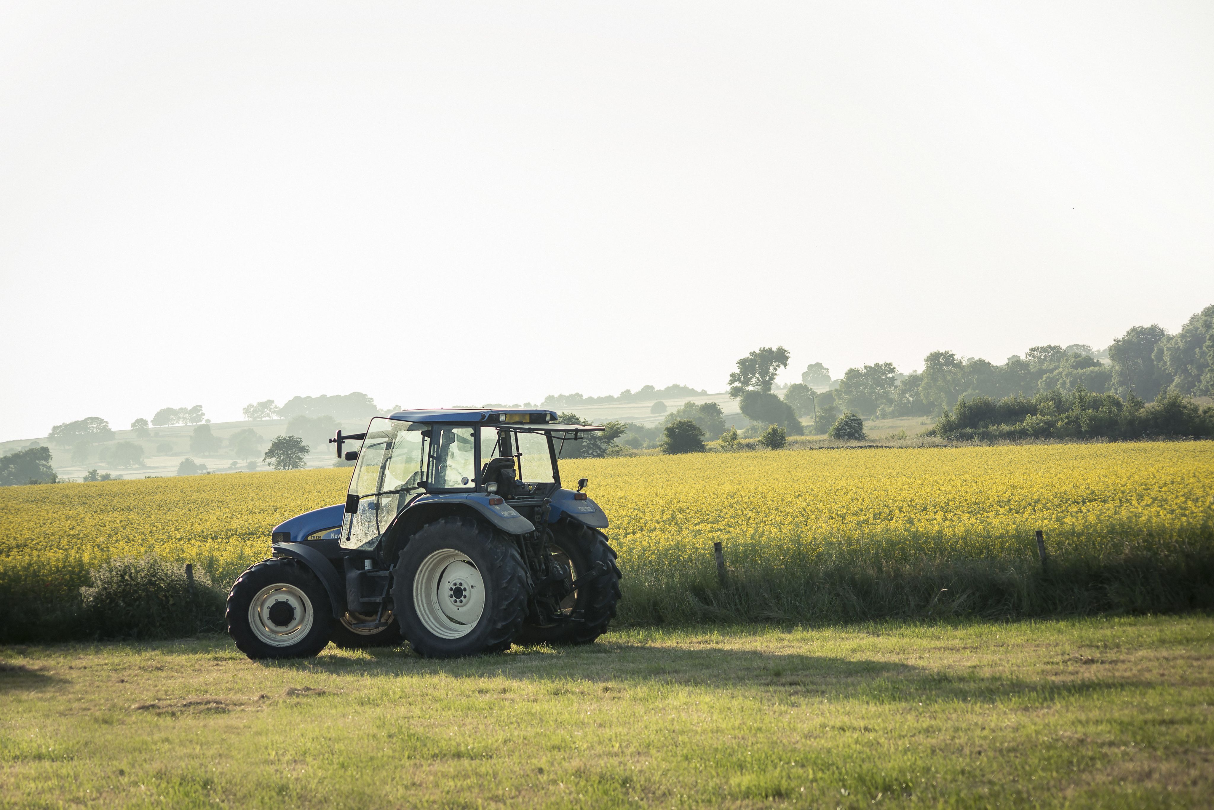 Tractor in field