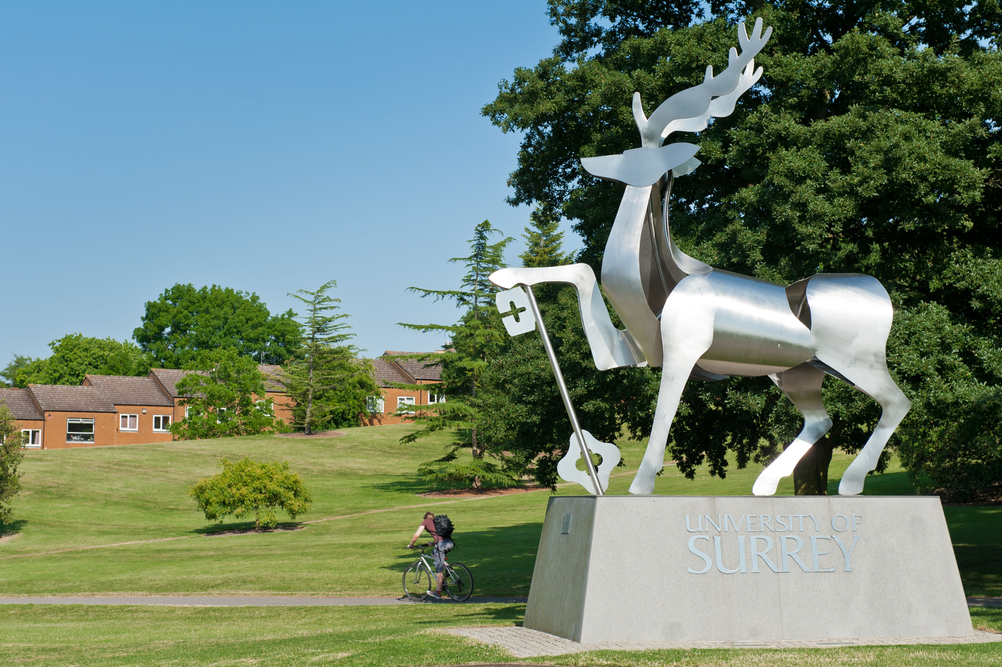 Stag sculpture, University of Surrey