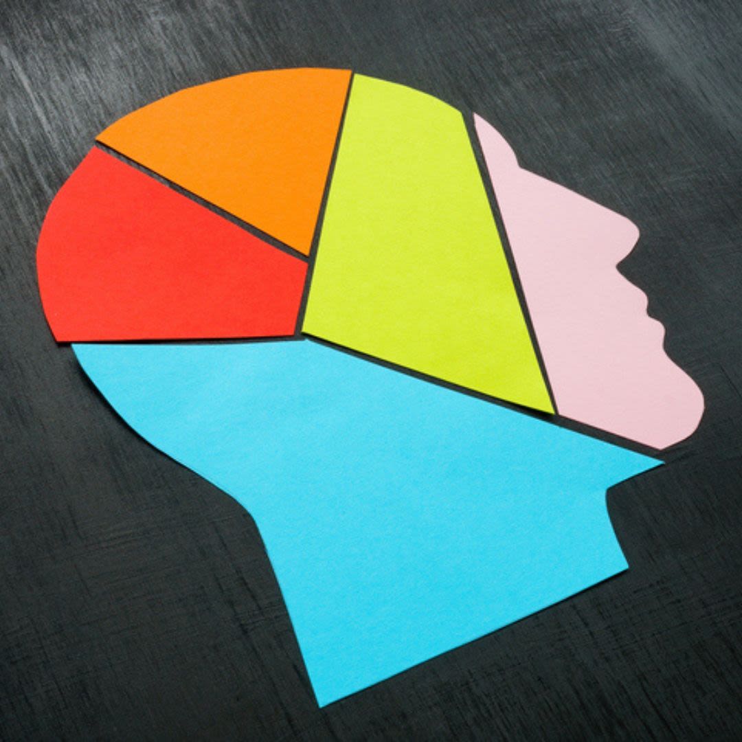 A flatlay of a silhouette with the brain segmented into colourful shapes