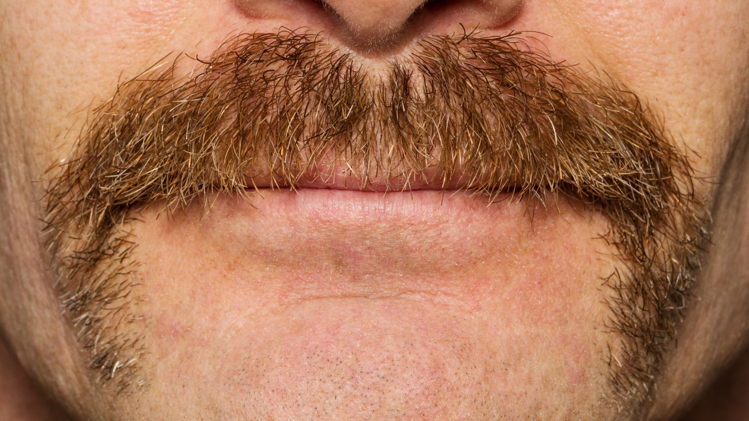 Close up of a male moustache