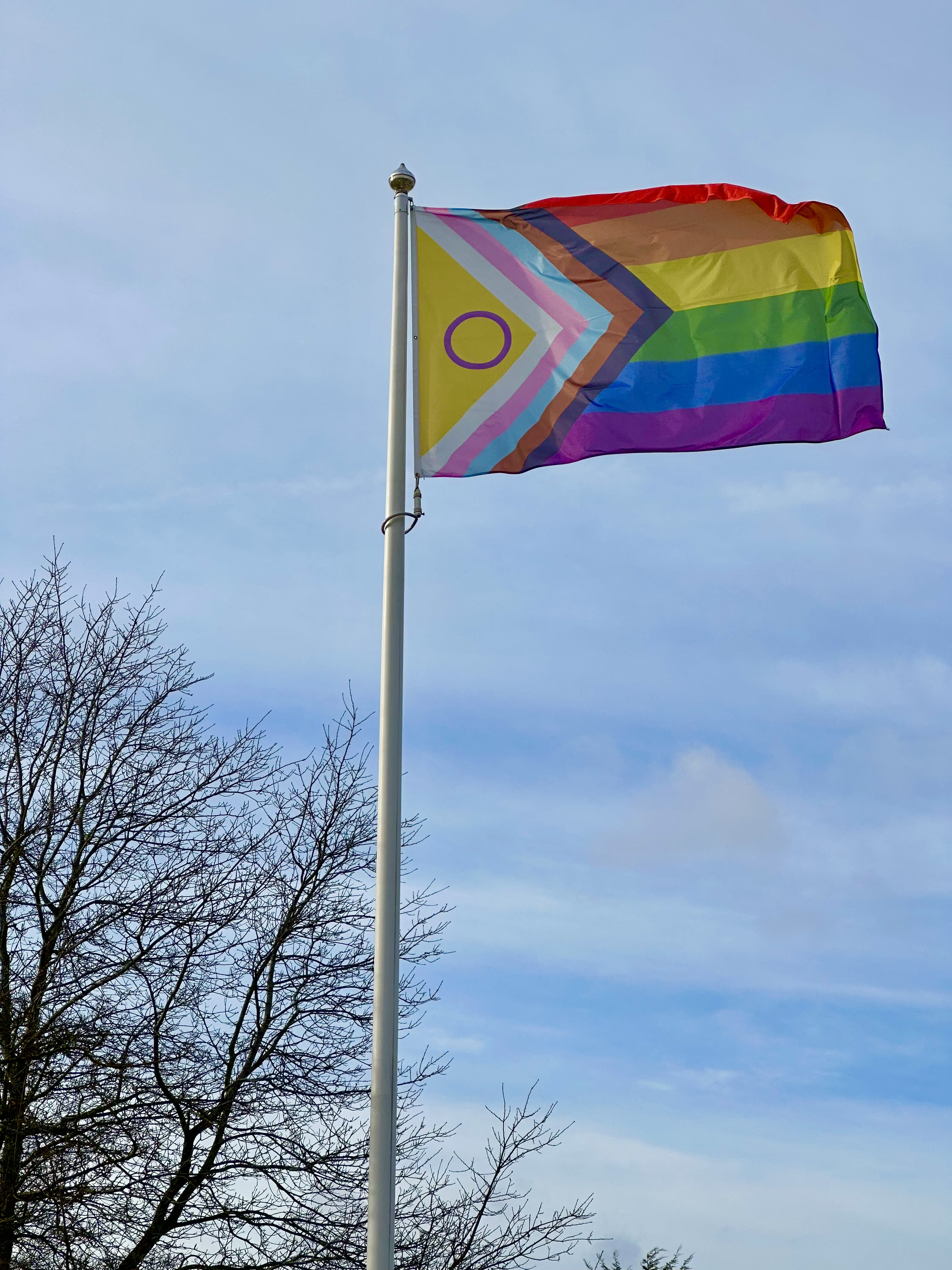 The Progress Pride flag flies on Stag Hill campus