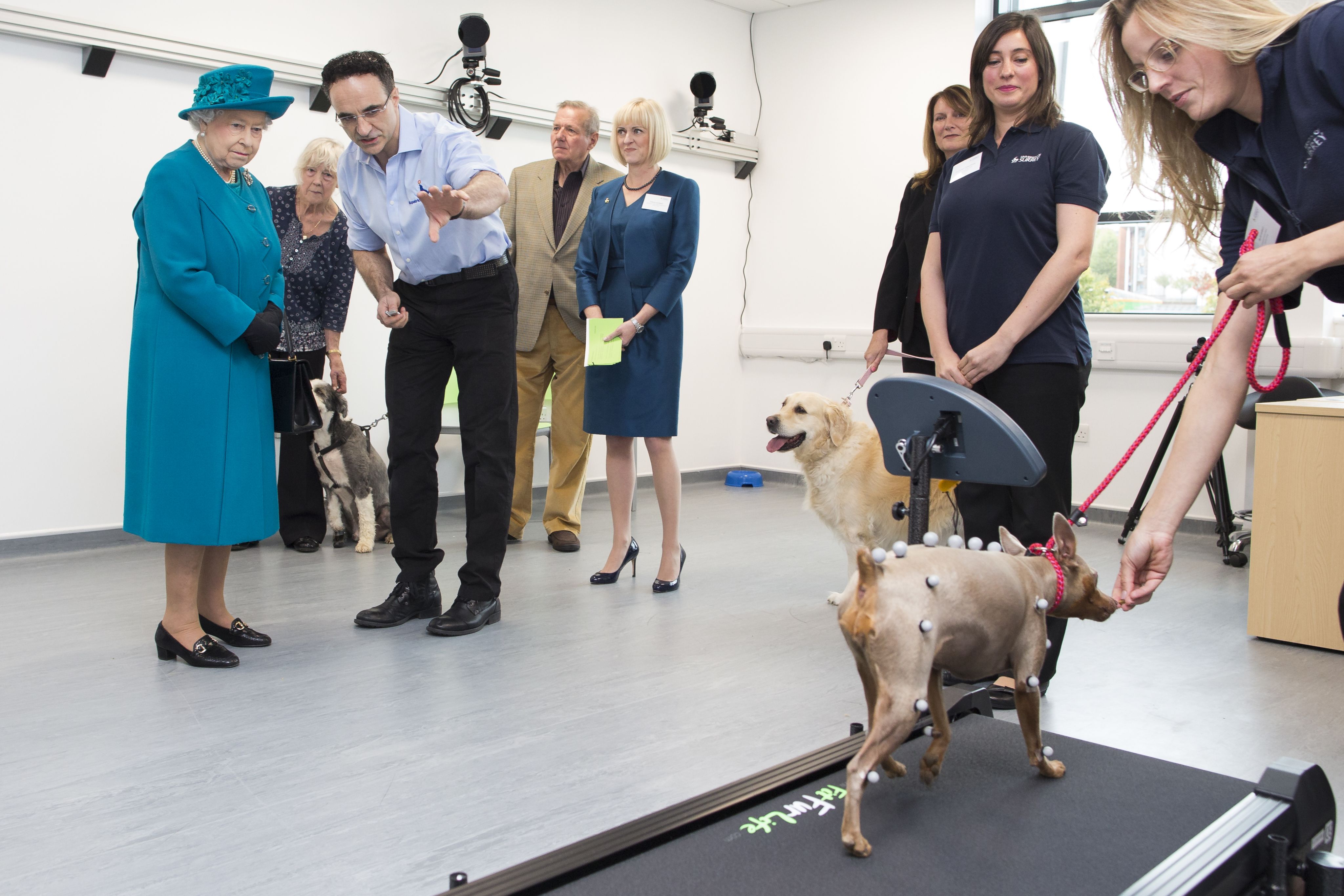 The Queen with Professor Noel Fitzpatrick.