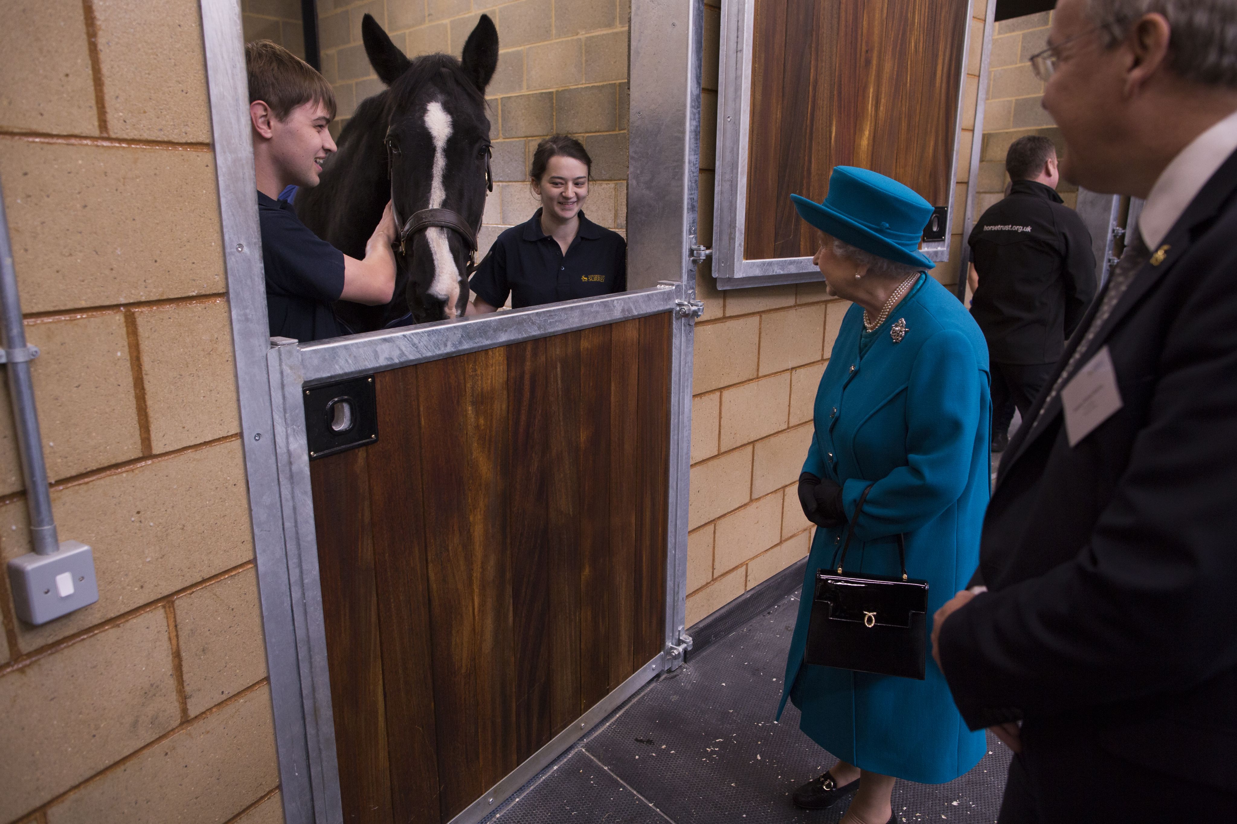 The Queen speaking to students and a horse. 