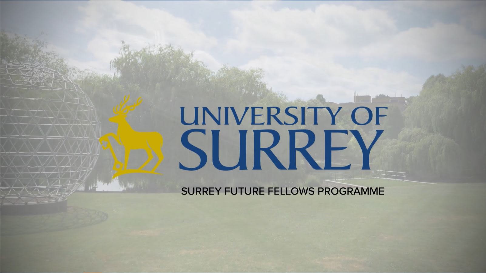 Surrey Future Fellows