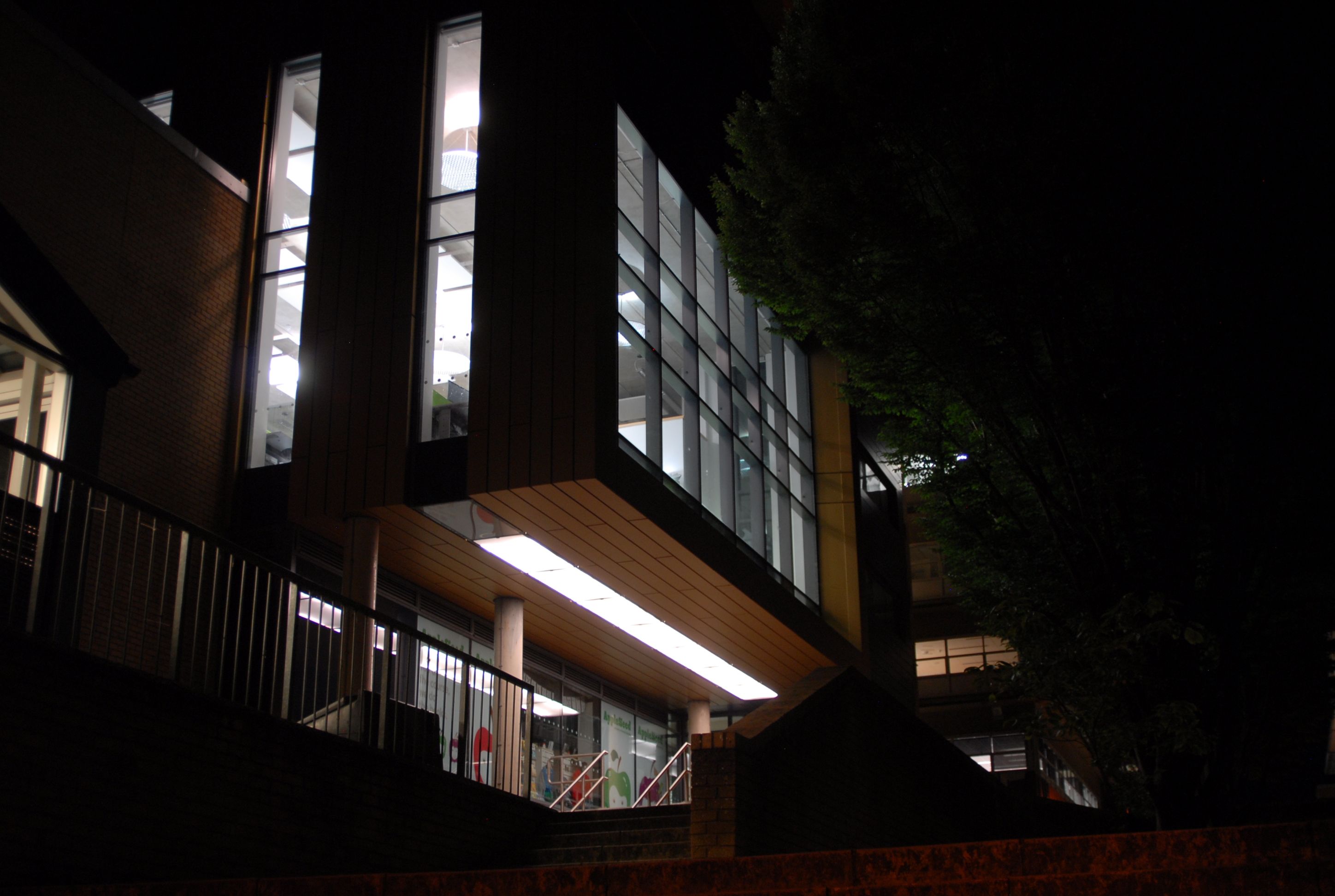 Stag Hill campus by night