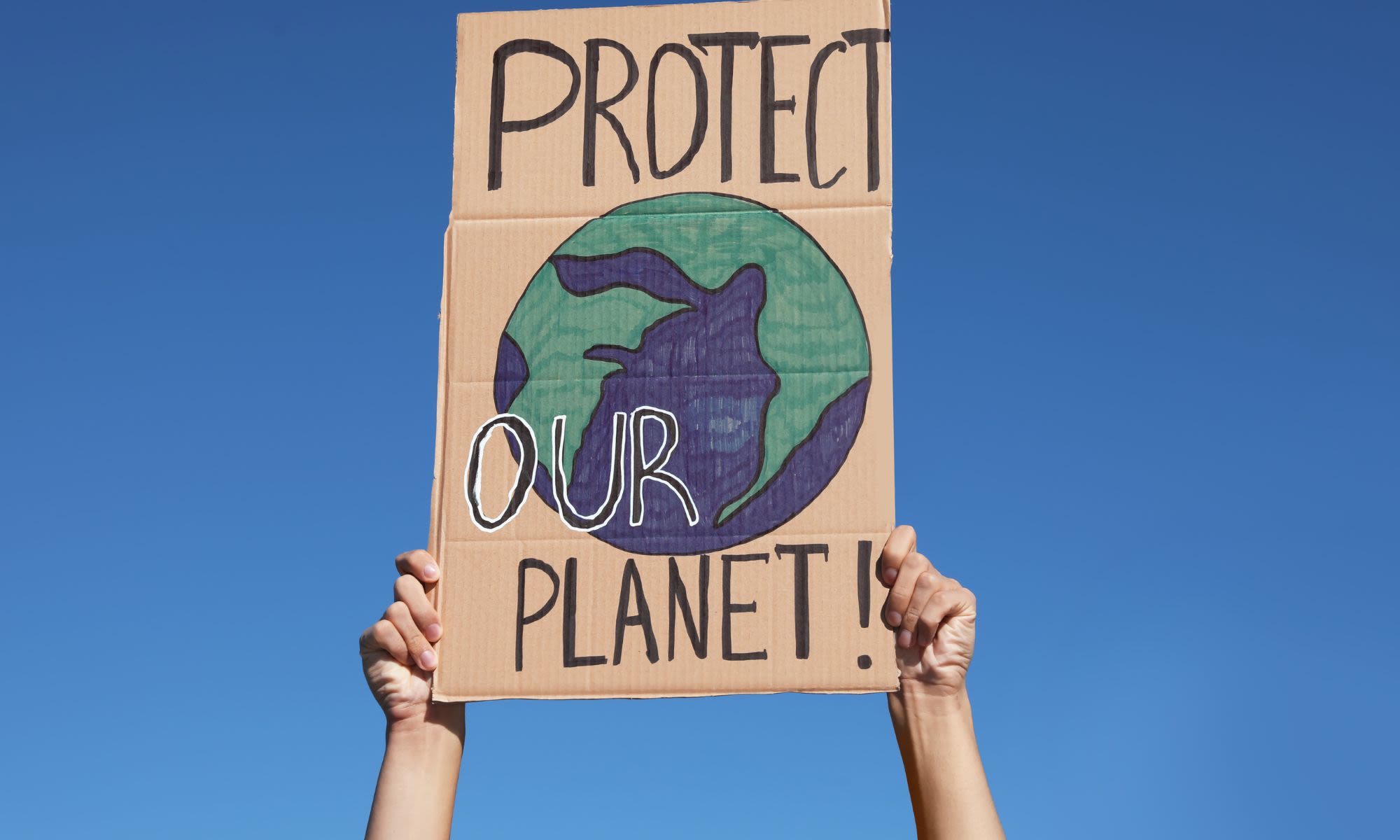 Cardboard sign with a picture of the earth, reads, Protect our planet!