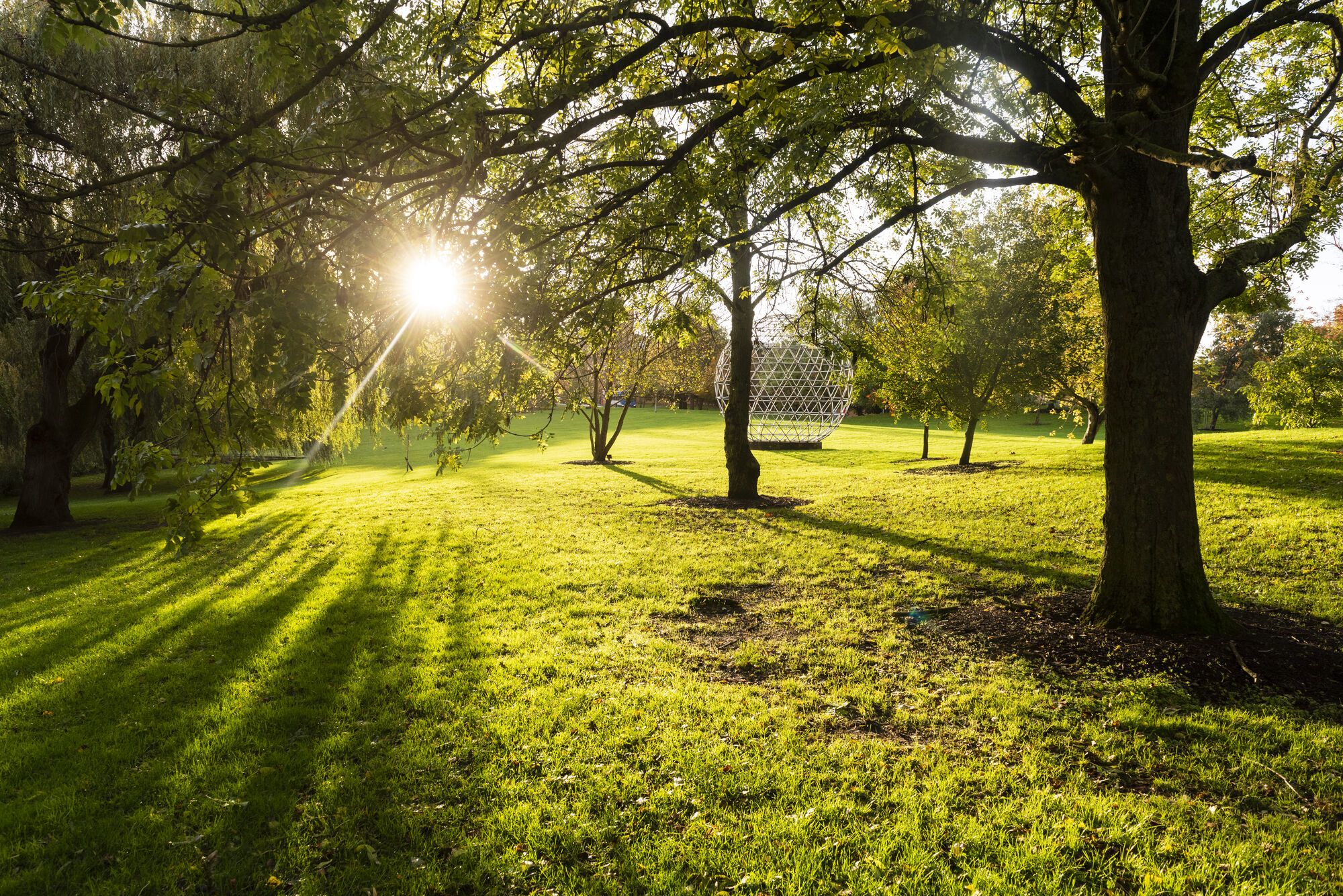 The sun shines through the trees on Stag Hill