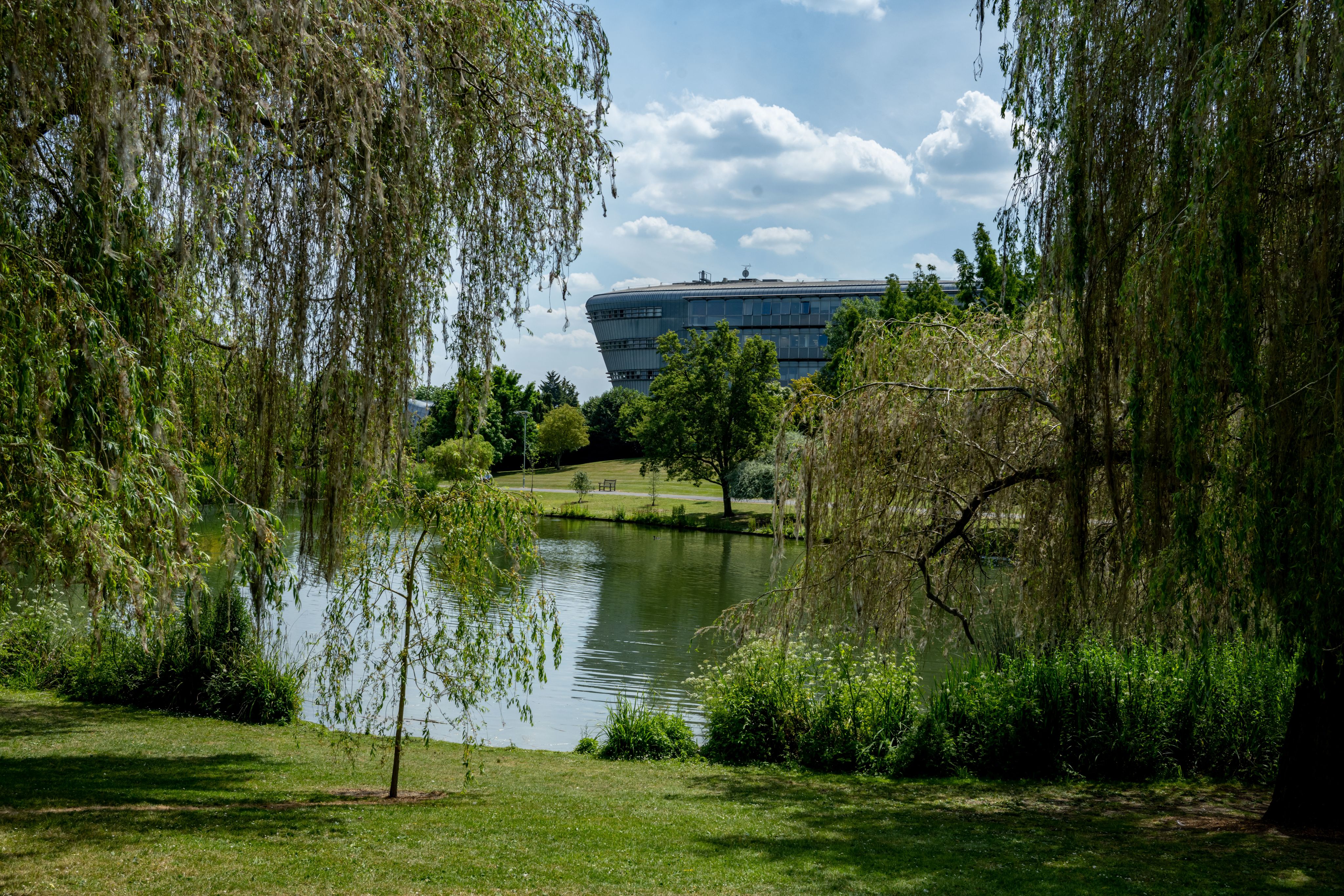 A view of the Duke of Kent Building from across the lake on Stag Hill campus