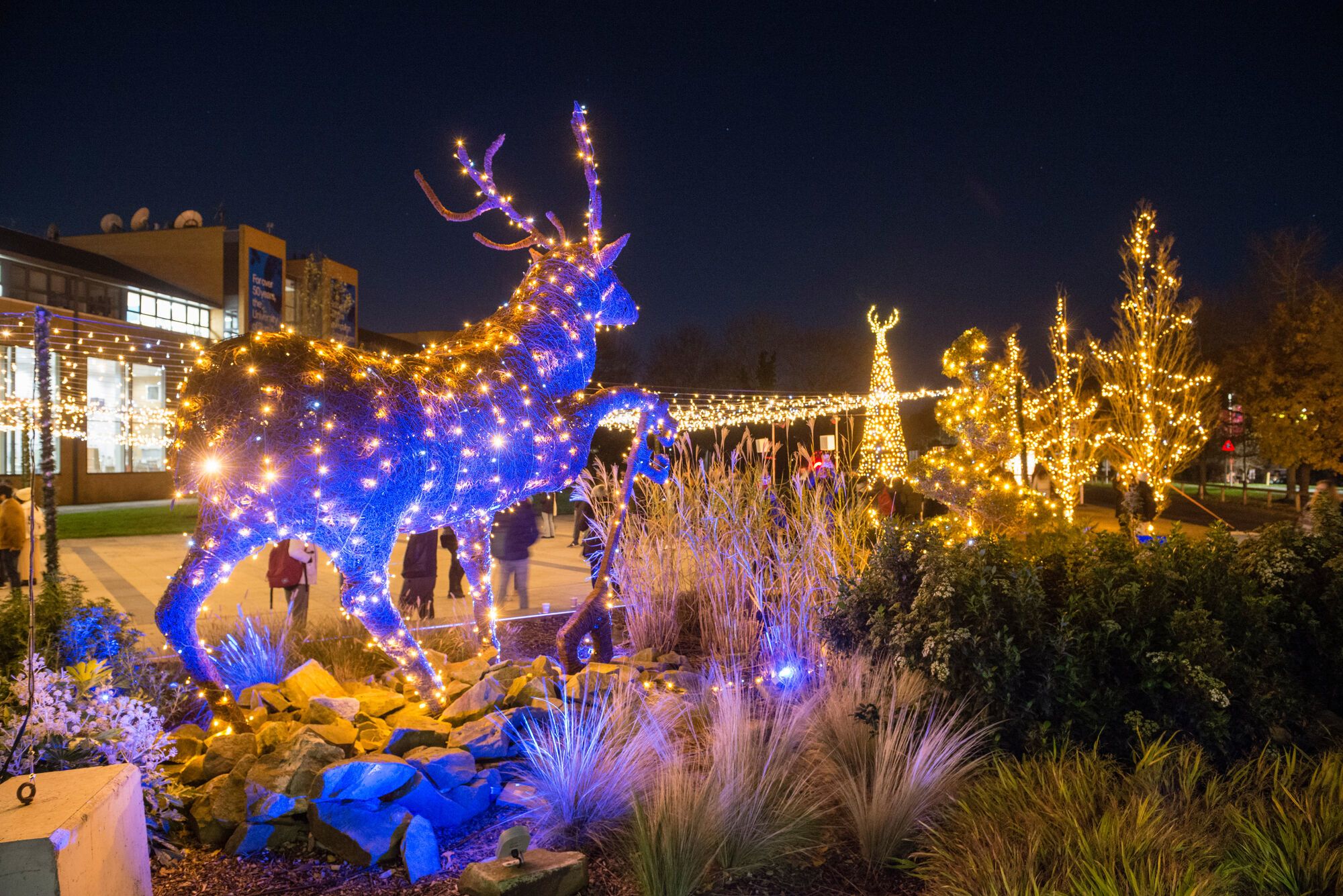 The Stag sculpture on AP Piazza lit up by fairy lights